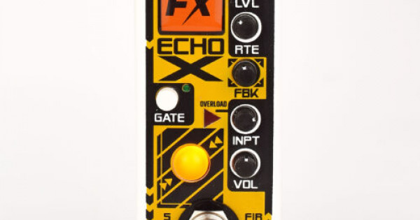 Rainger FX Echo-X Digital Delay (& Igor) Mini-Pedal